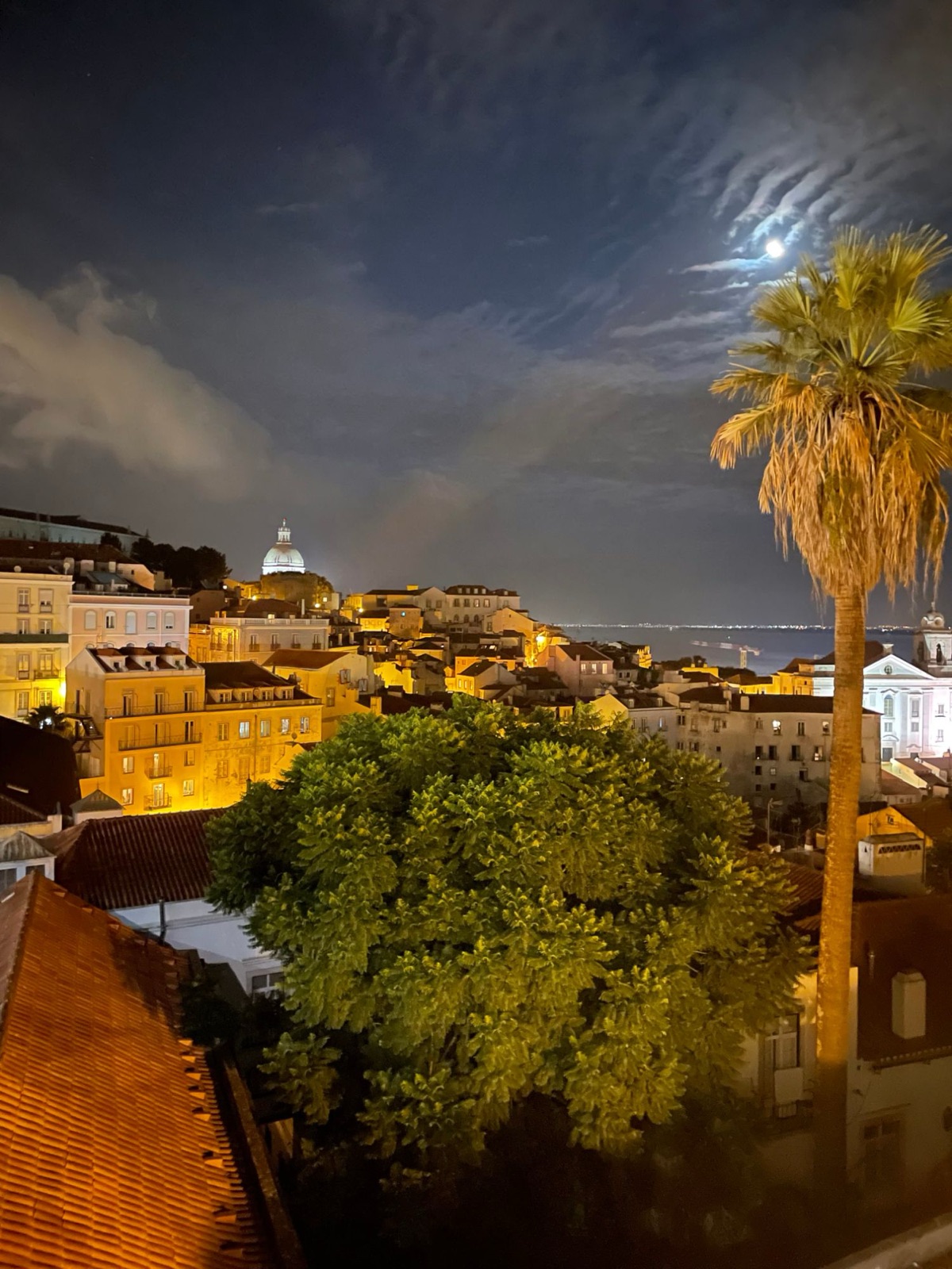 Lisboa à noite, com a cúpula iluminada do Panteão sob a lua e uma palmeira